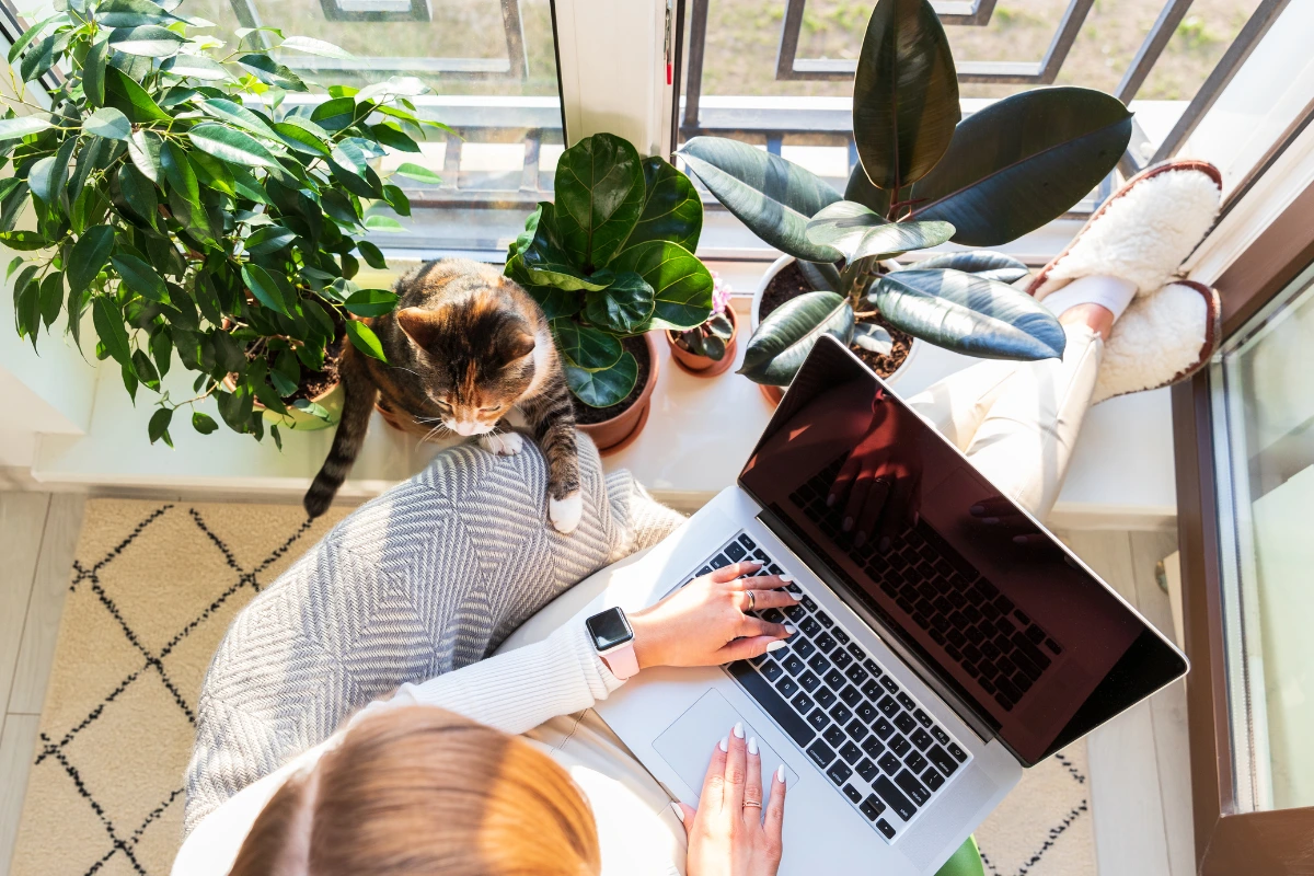 Why Freelancers Need More Than Social Media: Build a Portfolio That Wins Clients